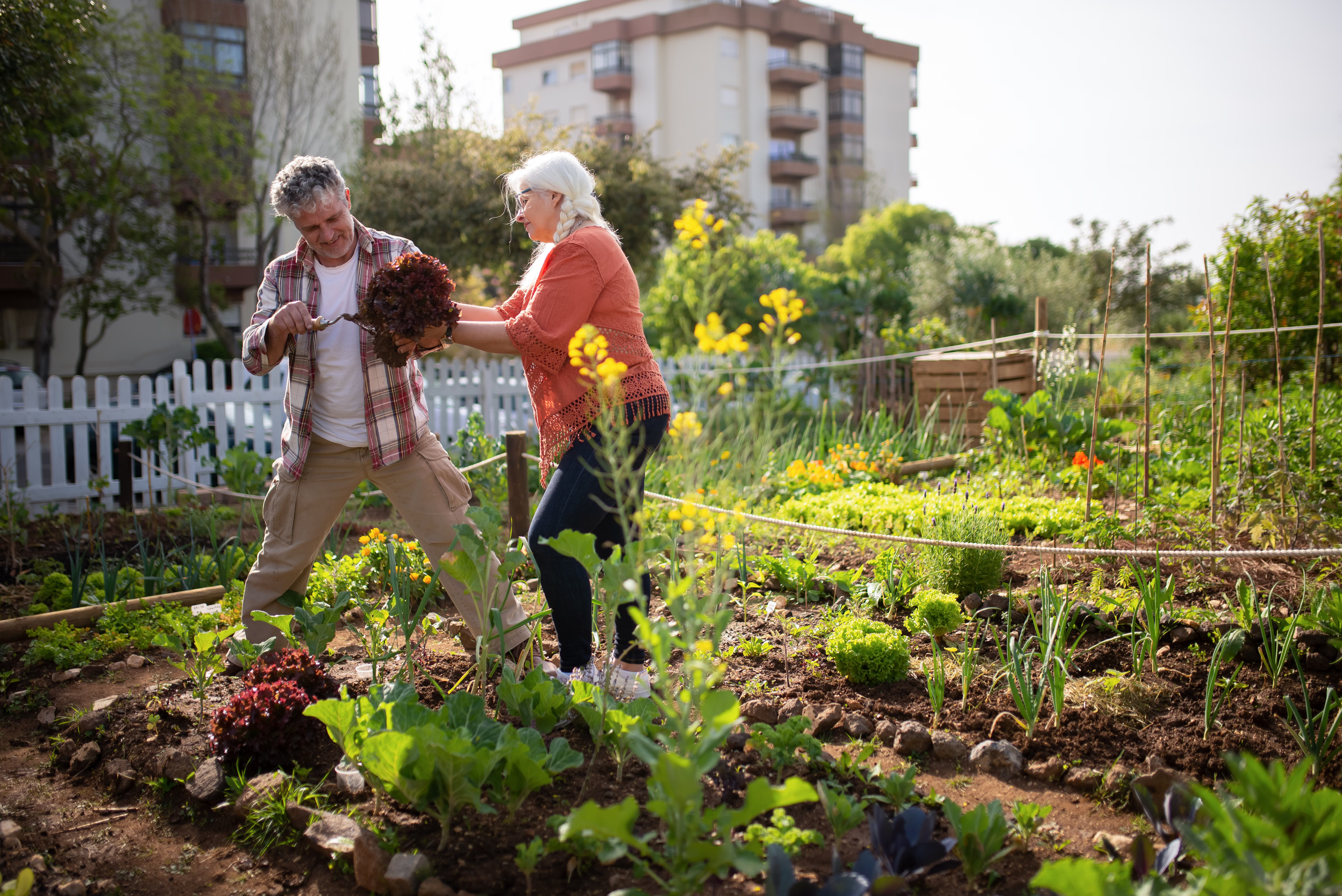 Growing Together: Creating a Community Garden That Lasts